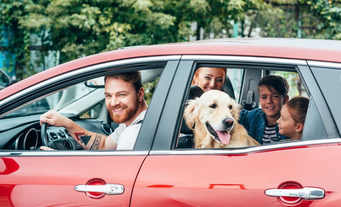 auto dla dużej rodziny